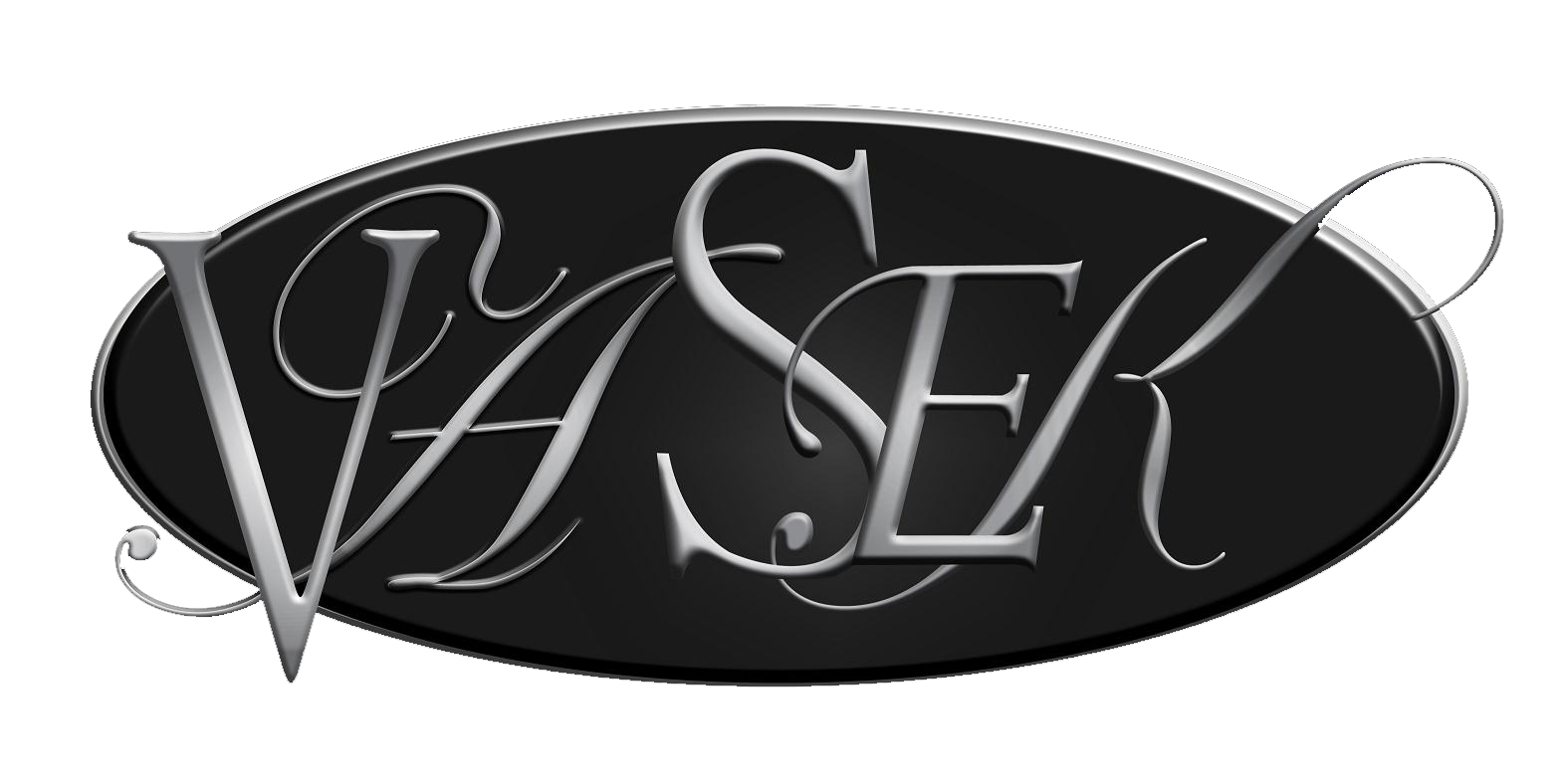 Vasek Logo